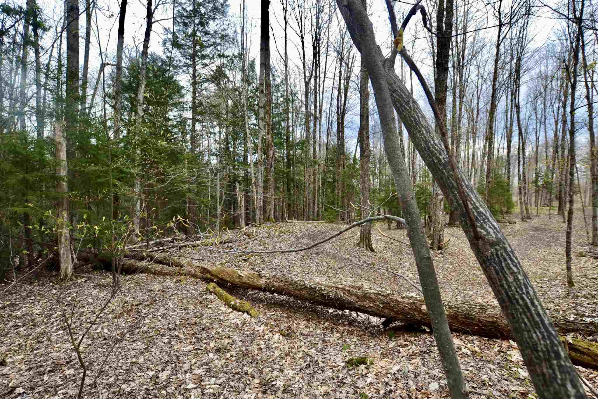 Waterbury, VT 05676,0 Snowshoe TRL #2A