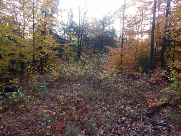 Northfield, NH 03276,Lot 38 Fiske RD