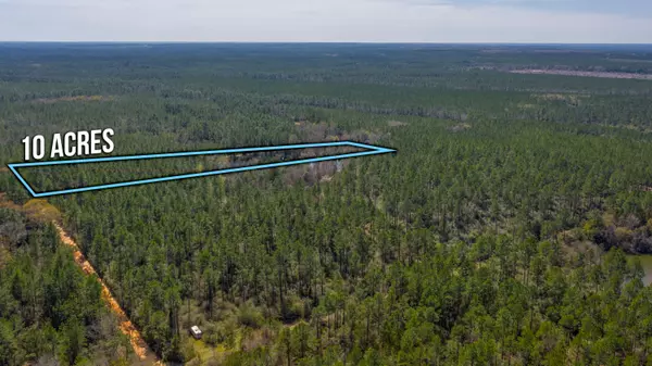 Laurel Hill, FL 32567,20 ACRES BUCK TYNER