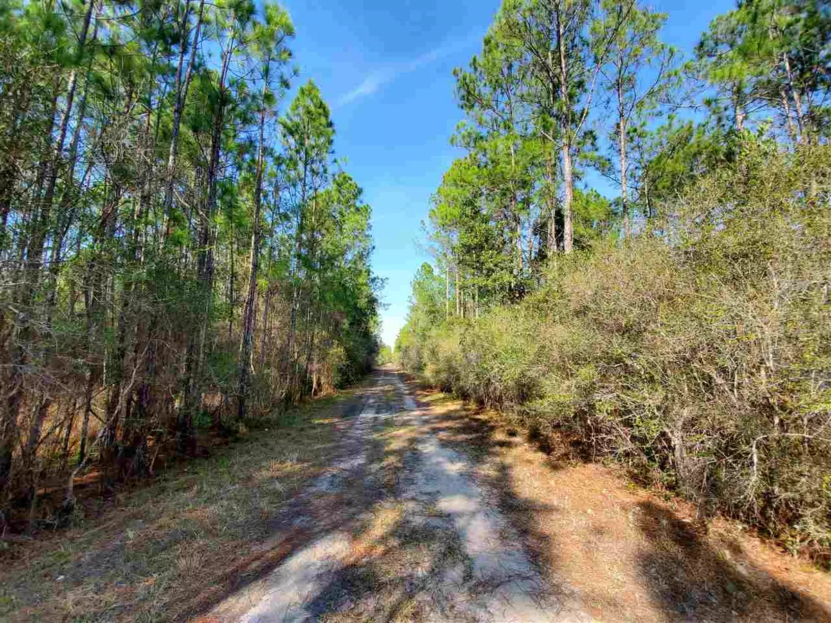 Perry, FL 32347,Vacant Boundary Road #Tract 12A