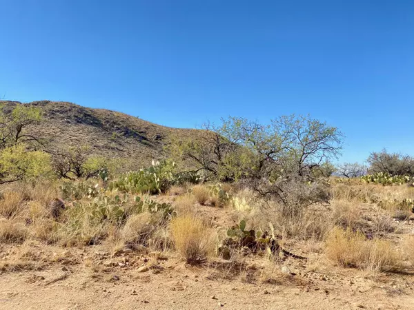 Tucson, AZ 85736,0 S Sierrita Mountain Road