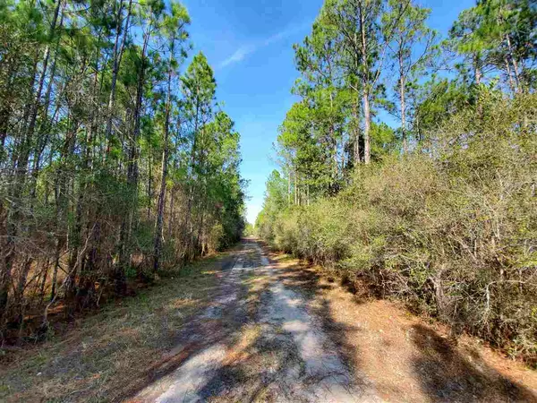 Vacant Boundary Road #Tract 12A, Perry, FL 32347