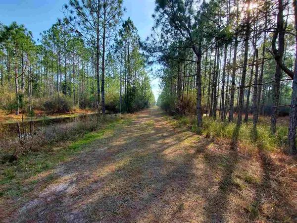 Perry, FL 32347,Vacant Boundary Road #Tract 12A