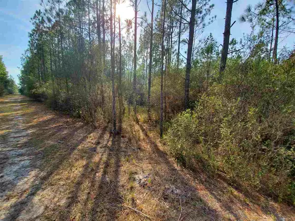 Perry, FL 32347,Vacant Boundary Road #Tract 12A