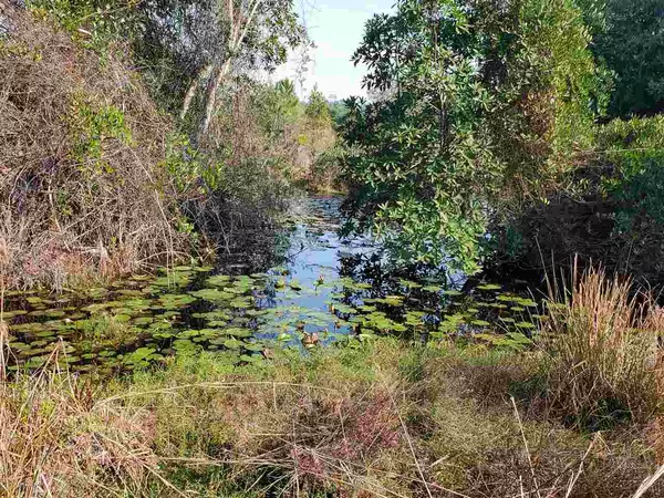 Perry, FL 32347,Vacant Boundary Road #Tract 12A