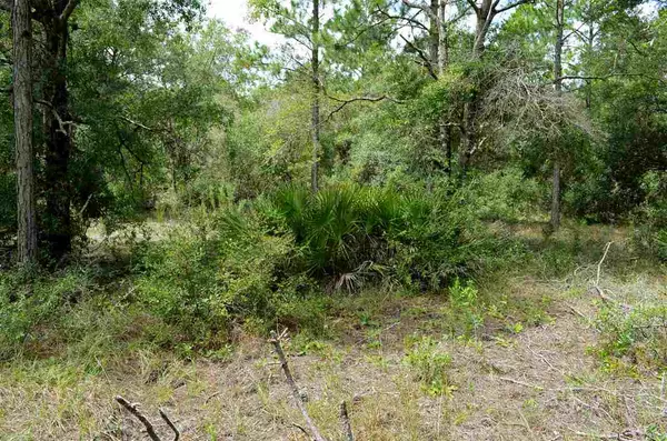 Perry, FL 32348,000 Warrior Creek Road