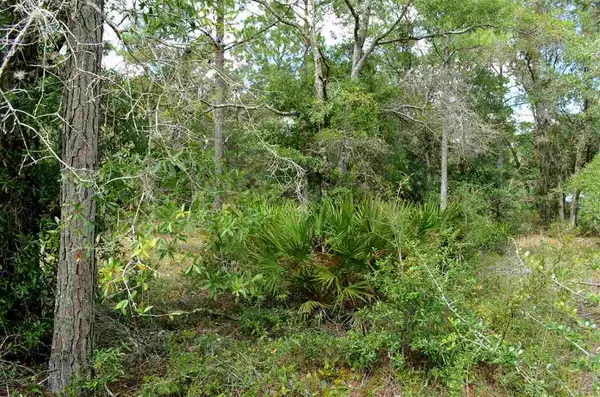 Perry, FL 32348,000 Warrior Creek Road