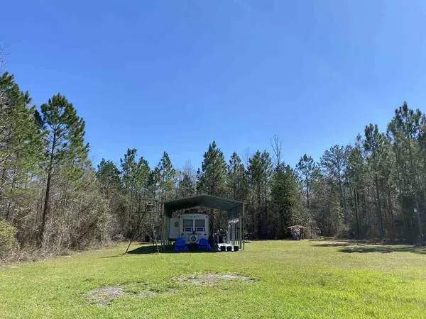 Pinetta (madison County), FL 32350,148 NE S Riverbend Way