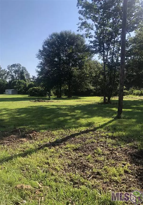 Central, LA 70811,LOT 1-4 BREEDEN DR