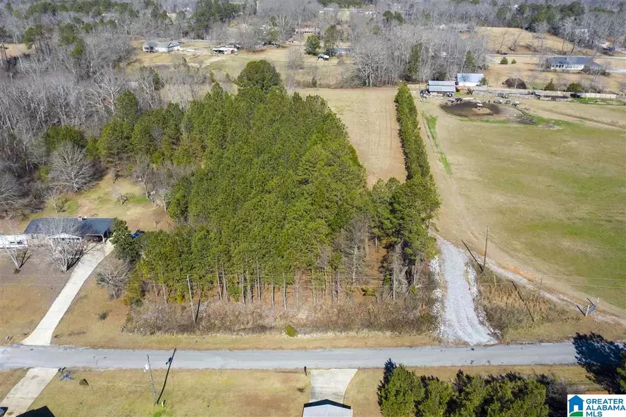 110 OLD WEST ROAD #1, Thorsby, AL 35171