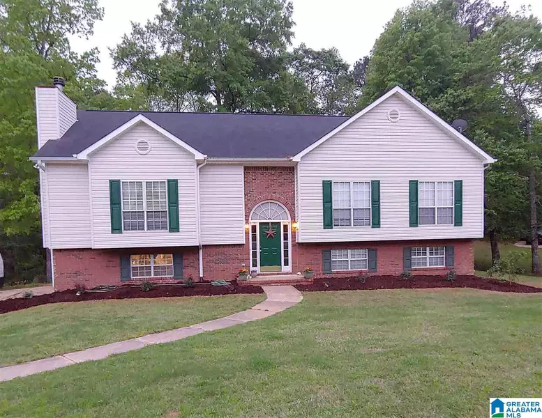 319 HUNTER HILLS CIRCLE, Chelsea, AL 35043