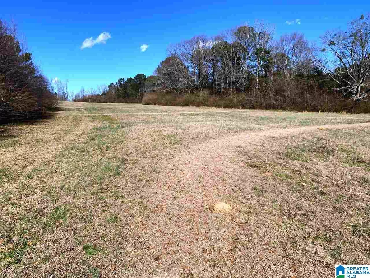 Ashland, AL 36251,41977 HIGHWAY 77 #48 acres