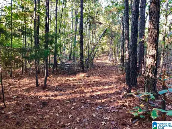 Ashland, AL 36251,PROVIDENCE ROAD #54 Acres