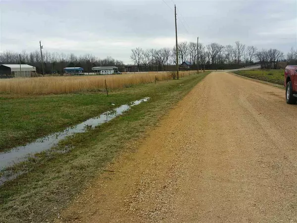 Adamsville, TN 38310,0 LEMERT RD