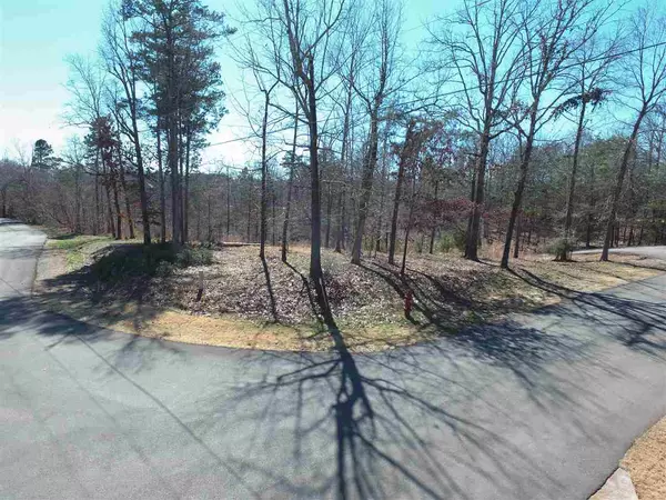 Counce, TN 38326,LOT 103 BLUE HERON PT