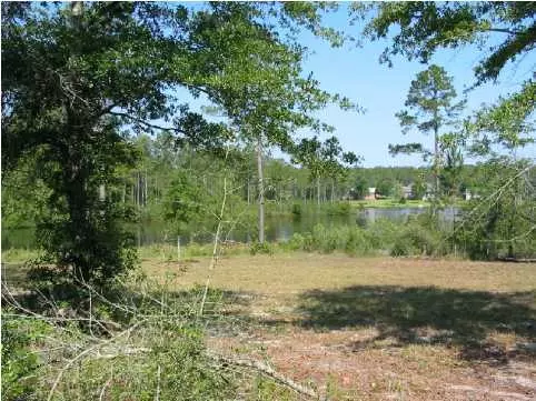 Defuniak Springs, FL 32433,LOT 4 Magnolia Lake Drive