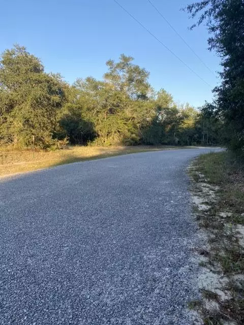 Crestview, FL 32539,46  ACRES Clint Mason Road Road