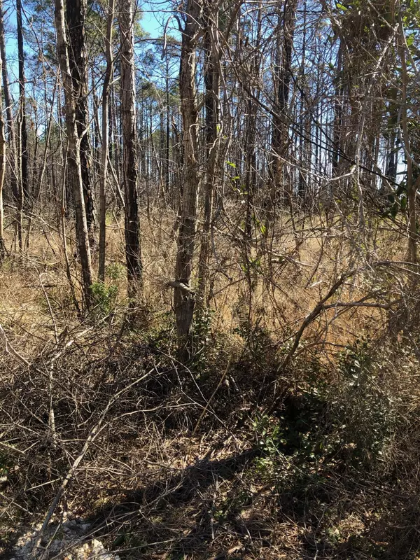 Milton, FL 32583,Lot 23 Simila Drive