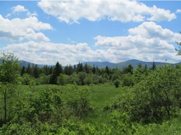 - Fish Pond RD, Columbia, NH 03576