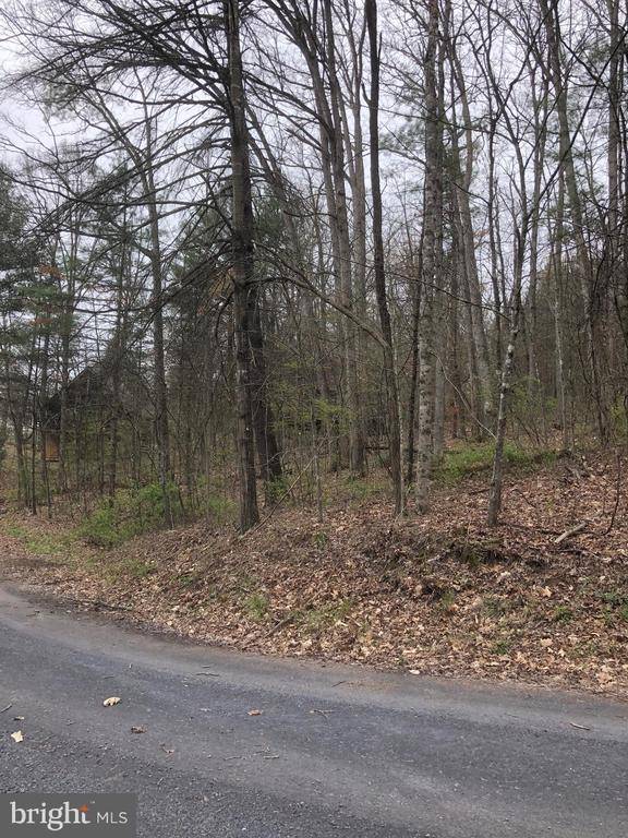 Mount Jackson, VA 22842,0 HEMLOCK LOT 556 HEMLOCK