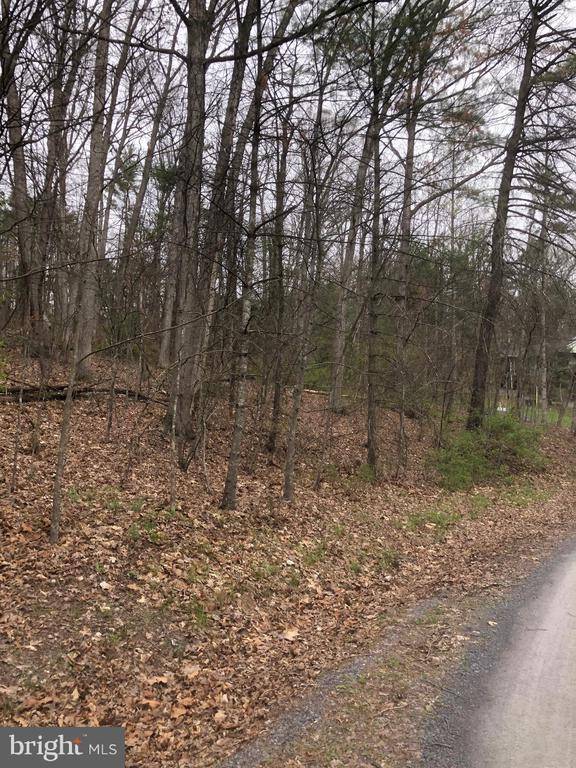 Mount Jackson, VA 22842,0 HEMLOCK LOT 556 HEMLOCK