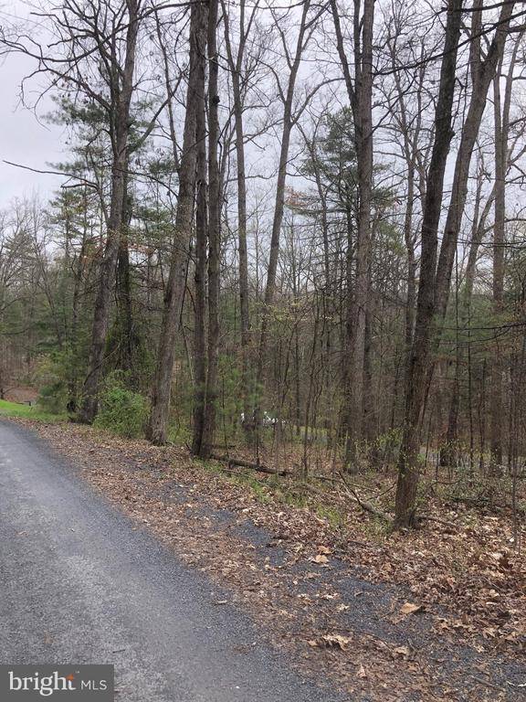 Mount Jackson, VA 22842,0 HEMLOCK LOT 556 HEMLOCK