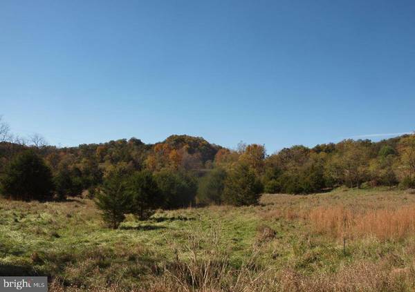 24.9AC SOUTH MILL CREEK, Upper Tract, WV 26866