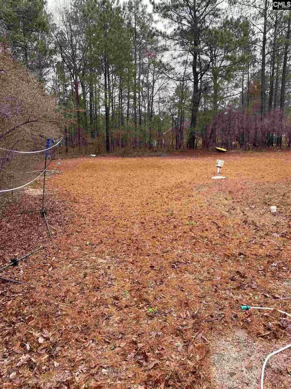 Lugoff, SC 29078,21 Whistling Duck Cove