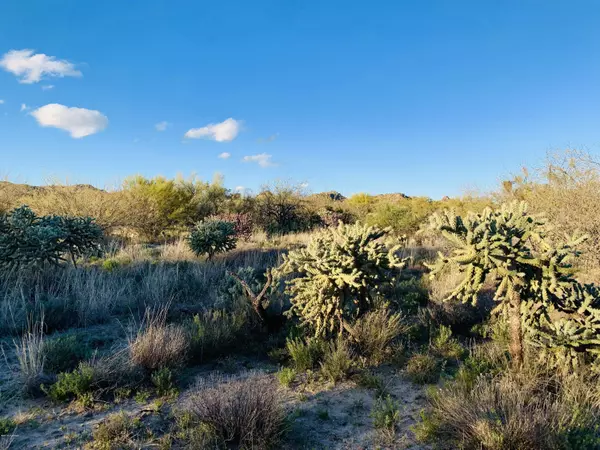 Oro Valley, AZ 85755,1235 N Weathered Stone Place #118