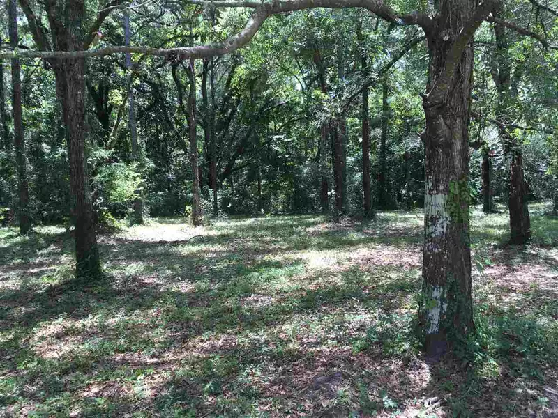 Lot 5A Creekside Court, Monticello, FL 32344-1118