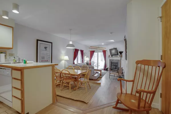 Killington, VT 05751,267 Village CIR #V14