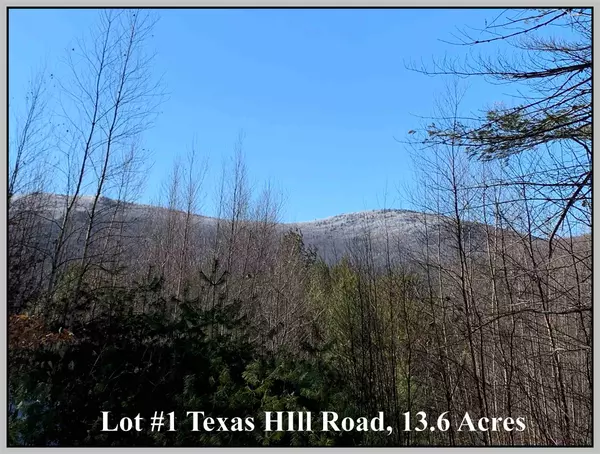 Lot #1 Texas Hill RD, Plymouth, NH 03264