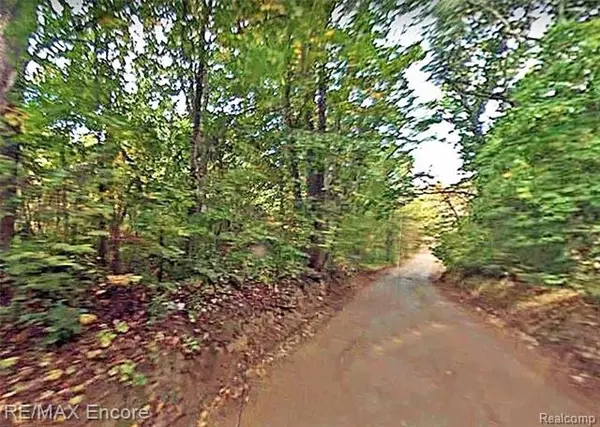 White Lake Twp, MI 48329,0000 HITCHCOCK PARCEL B RD