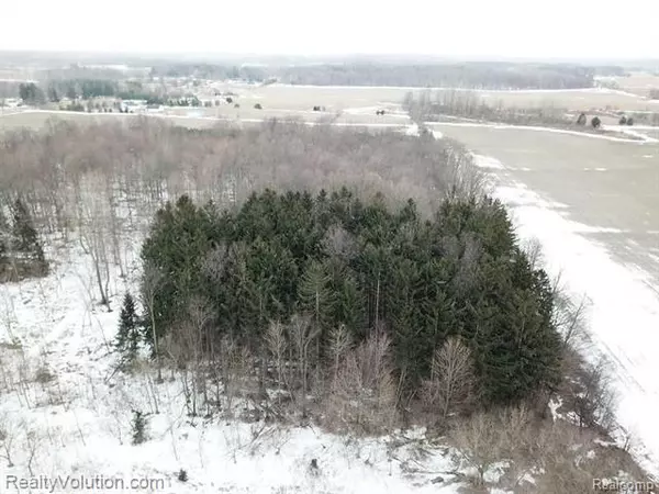 North Branch Twp, MI 48461,10 Acres WILLIS RD