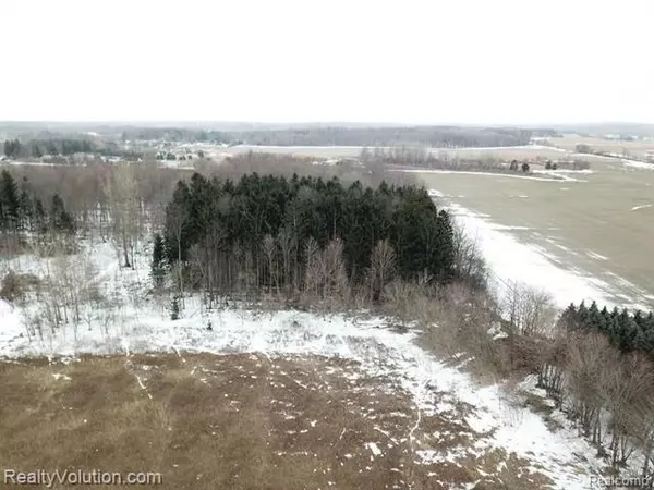 North Branch Twp, MI 48461,10 Acres WILLIS RD