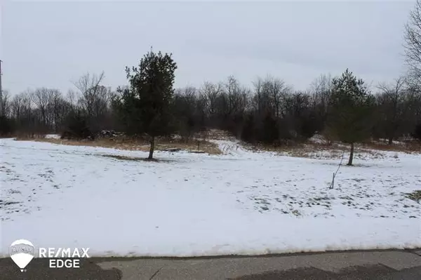 Davison Twp, MI 48423,0 ORCHARD VALLEY LANE