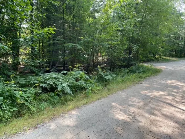 L# 37 Mayflower LN, Moultonborough, NH 03254