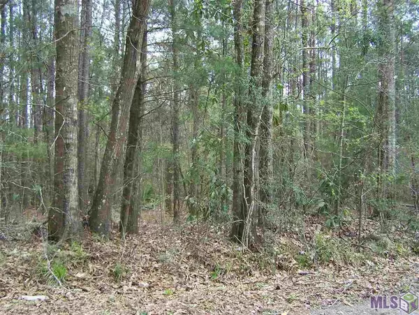 Walker, LA 70785,1.83 acres AVANTS RD