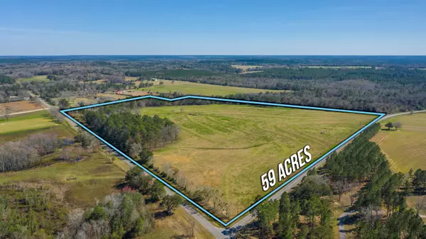 Defuniak Springs, FL 32433,59 ACRES PEN WILLIAMS ROAD