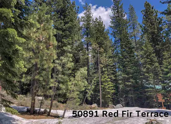 50891 Red Fir Terrace, Soda Springs, CA 96161