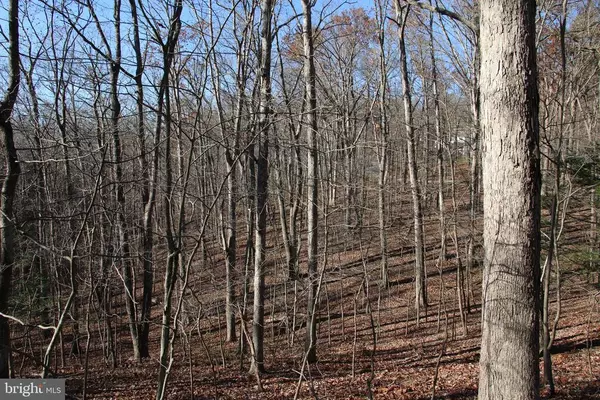 Bluemont, VA 20135,BEECHWOOD LANE