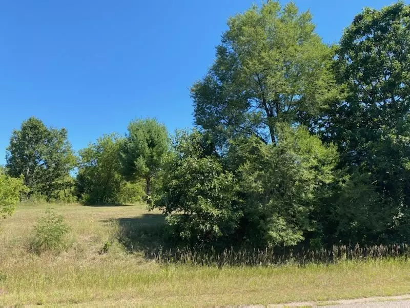 Lot 1 and 2 N Front St, Coloma, WI 54930