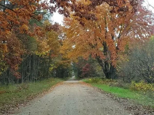 Gladwin, MI 48624,240 acres RIDGE