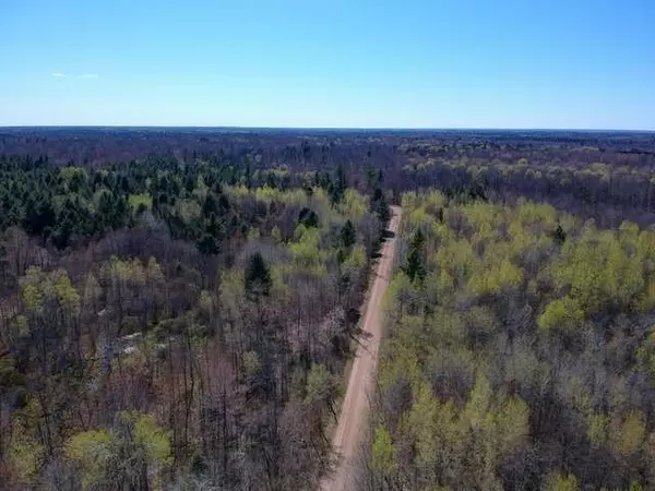 Gladwin, MI 48624,240 acres RIDGE