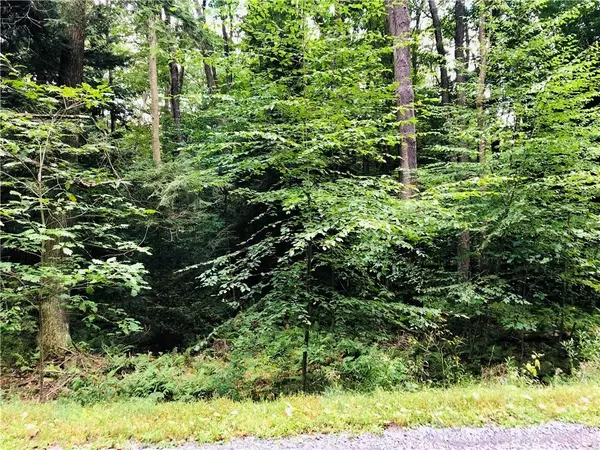 Central City, PA 15926,0 Indian Drive lot 316