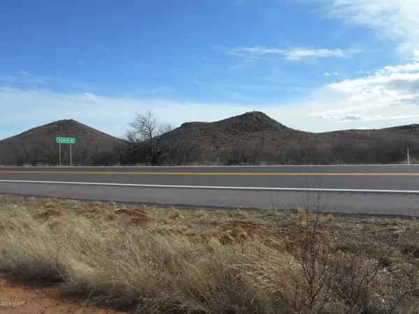 Pearce, AZ 85625,Highway 191 - 96 Acres