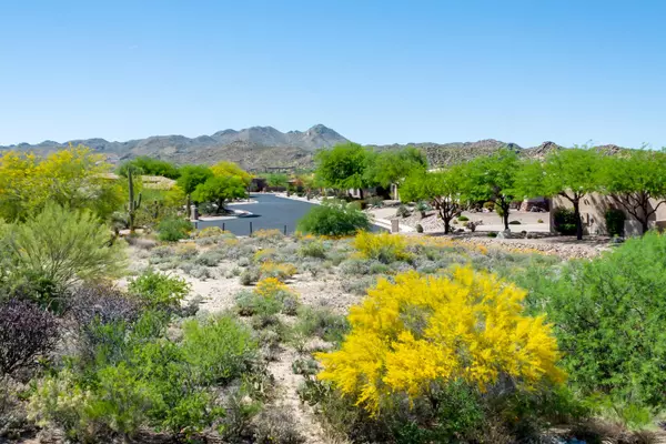 Oro Valley, AZ 85755,563 W Quiet Springs Drive #54