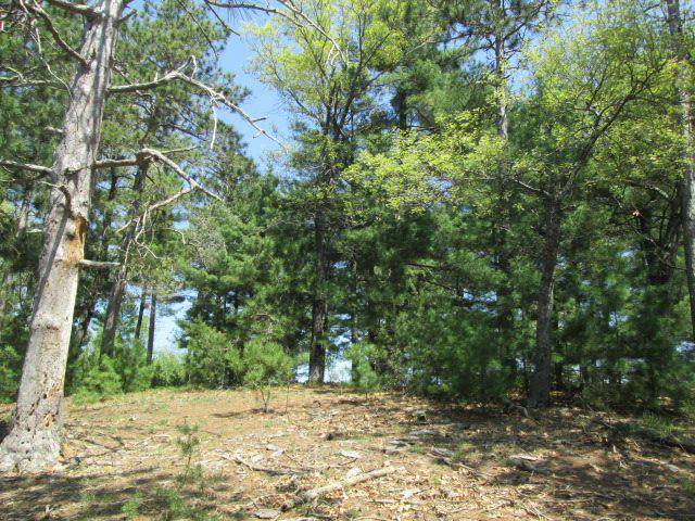 Arkdale, WI 54613,23.24 Ac 20th Ave