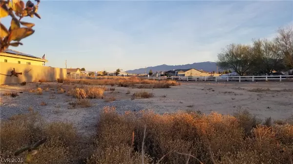 Pahrump, NV 89048,421 Blackhorn Street