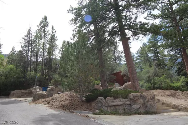 Mount Charleston, NV 89124,253 SKI TRAIL Road